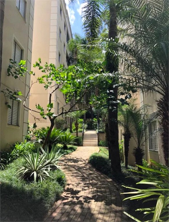 Apartamento à venda com 3 quartos, sendo 1 suíte, em Paraisópolis, São Paulo, SP