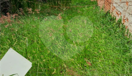 Terreno à venda no condomínio Celia Maria, Porto Feliz - SP