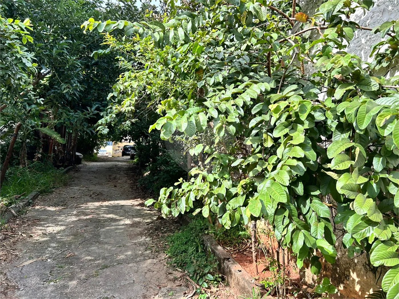 Terreno à venda em Casa Verde, São Paulo, SP