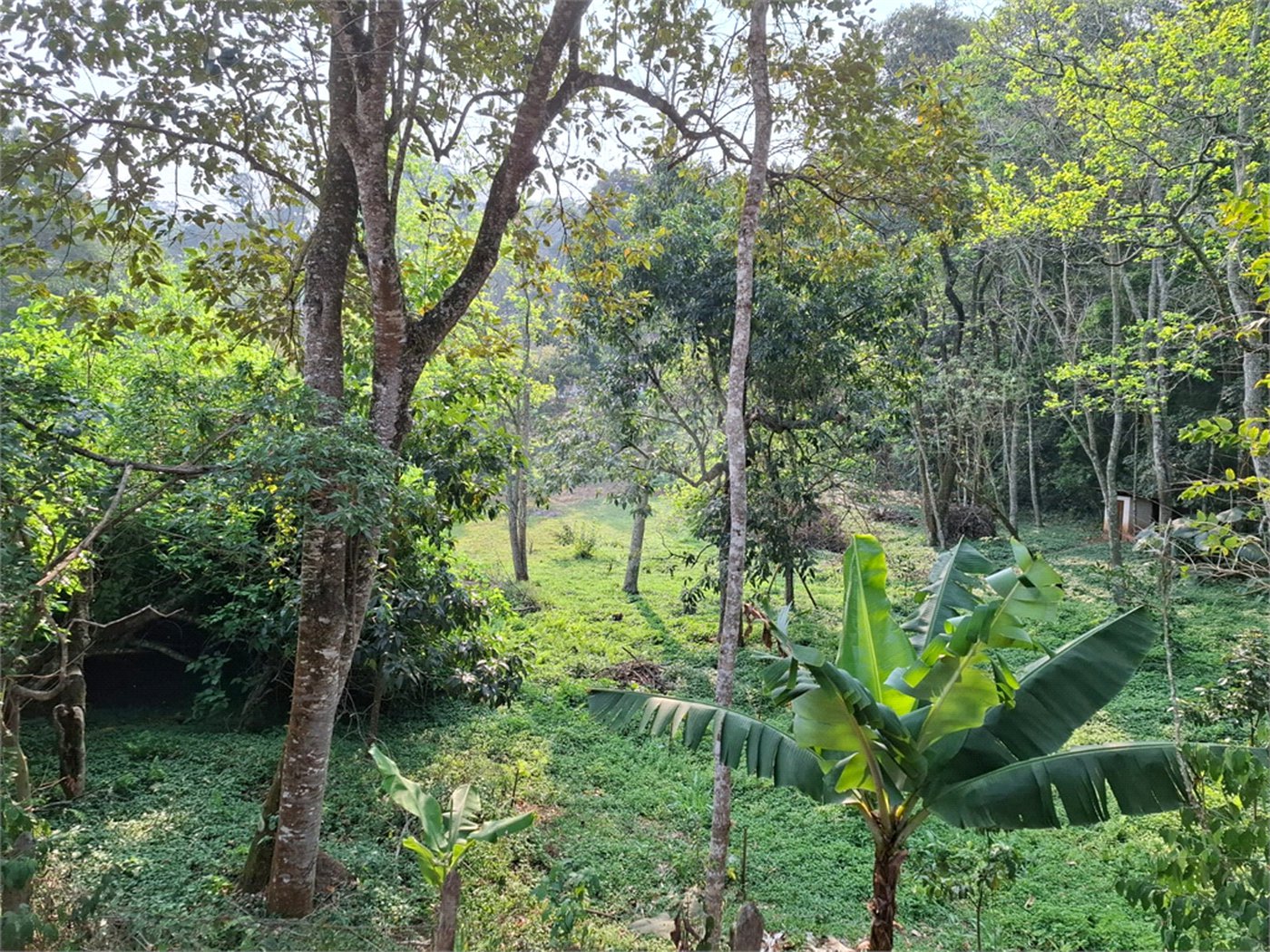 Sítio à venda com 3 quartos, sendo 1 suíte, em Bairro do Cambará, São Roque, SP