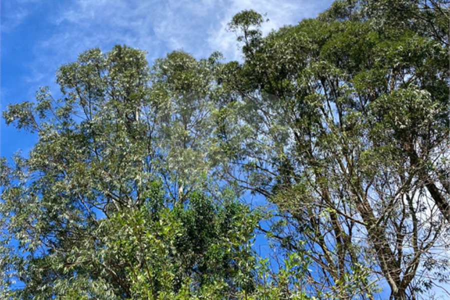 Terreno à venda no condomínio Suíça da Cantareira, Mairiporã - SP