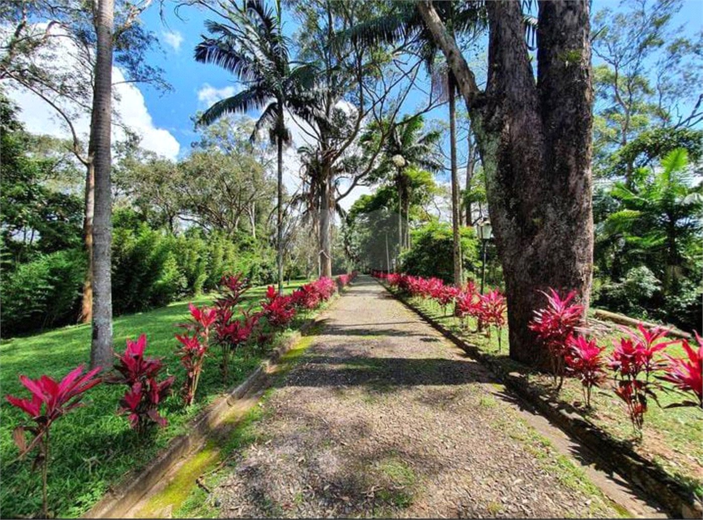 Chácara à venda com 1 suíte em Jardim São Francisco(zona Sul), São Paulo, SP