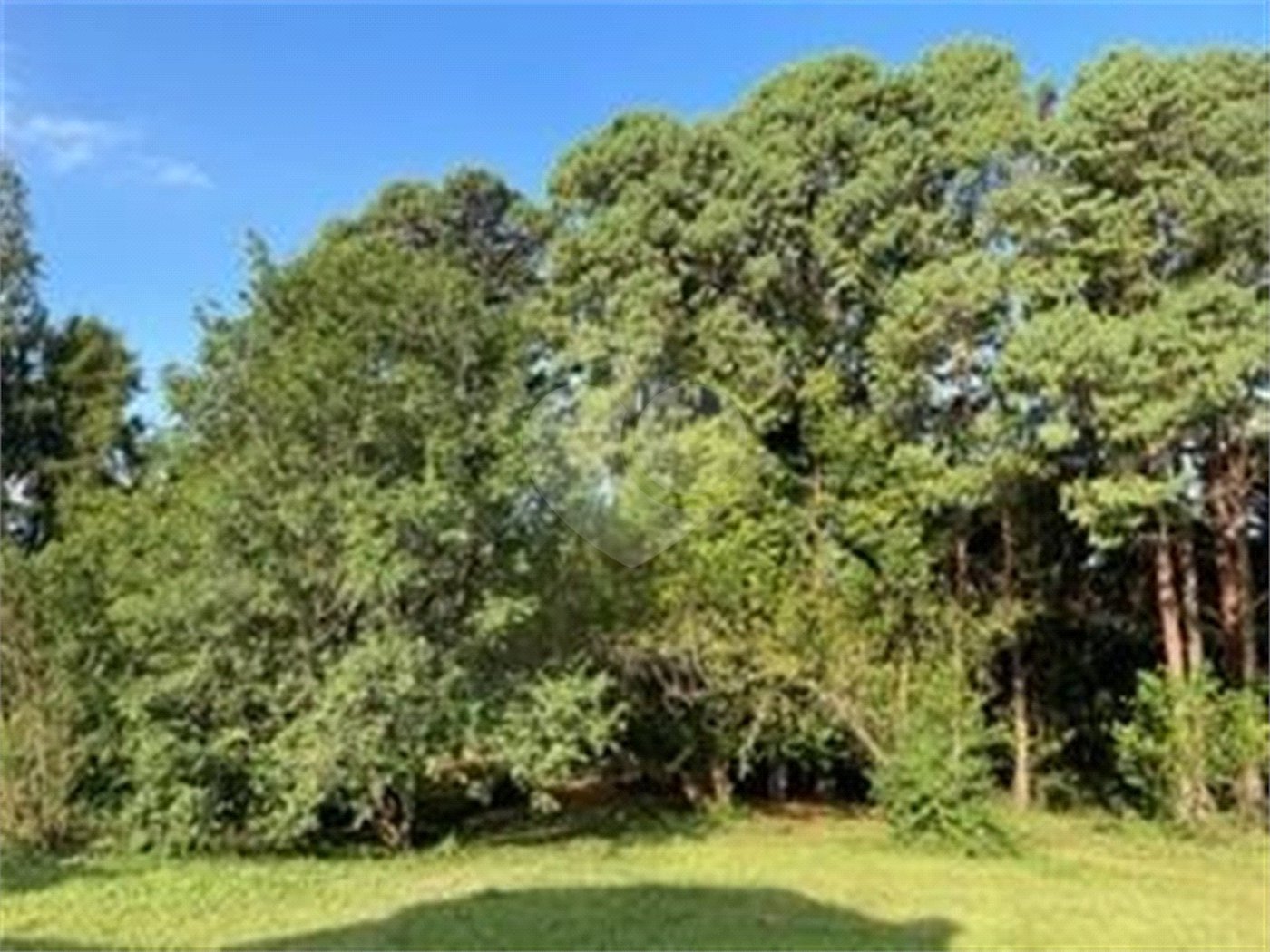 Sítio à venda com 2 quartos em Vila Brasileira, Itatiba, SP