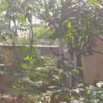 Terreno à venda em Casa Verde, São Paulo, SP