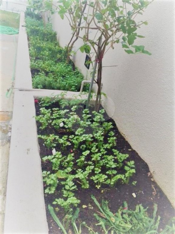 Apartamento à venda com 3 quartos, sendo 1 suíte, em Vila Mariana, São Paulo, SP