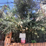 Casa à venda com 4 quartos em Vila Ipojuca, São Paulo, SP