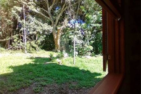 Casa à venda com 1 quarto em Vila Verde, Armação dos Búzios, RJ