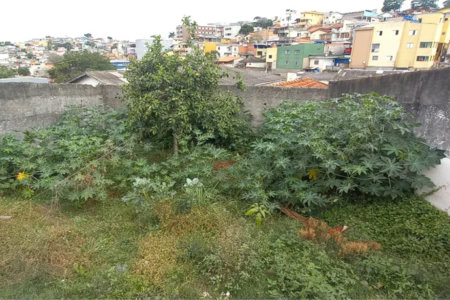Casa Térrea à venda com 2 quartos em Jardim São Luís, São Paulo, SP