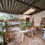 Terreno à venda em Vila Pirajussara, São Paulo, SP