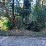 Terreno à venda no condomínio Alpes da Cantareira, Mairiporã - SP