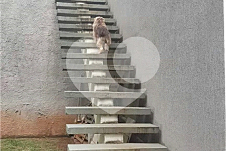 Casa à venda com 3 suítes no condomínio Sausalito, Mairiporã - SP