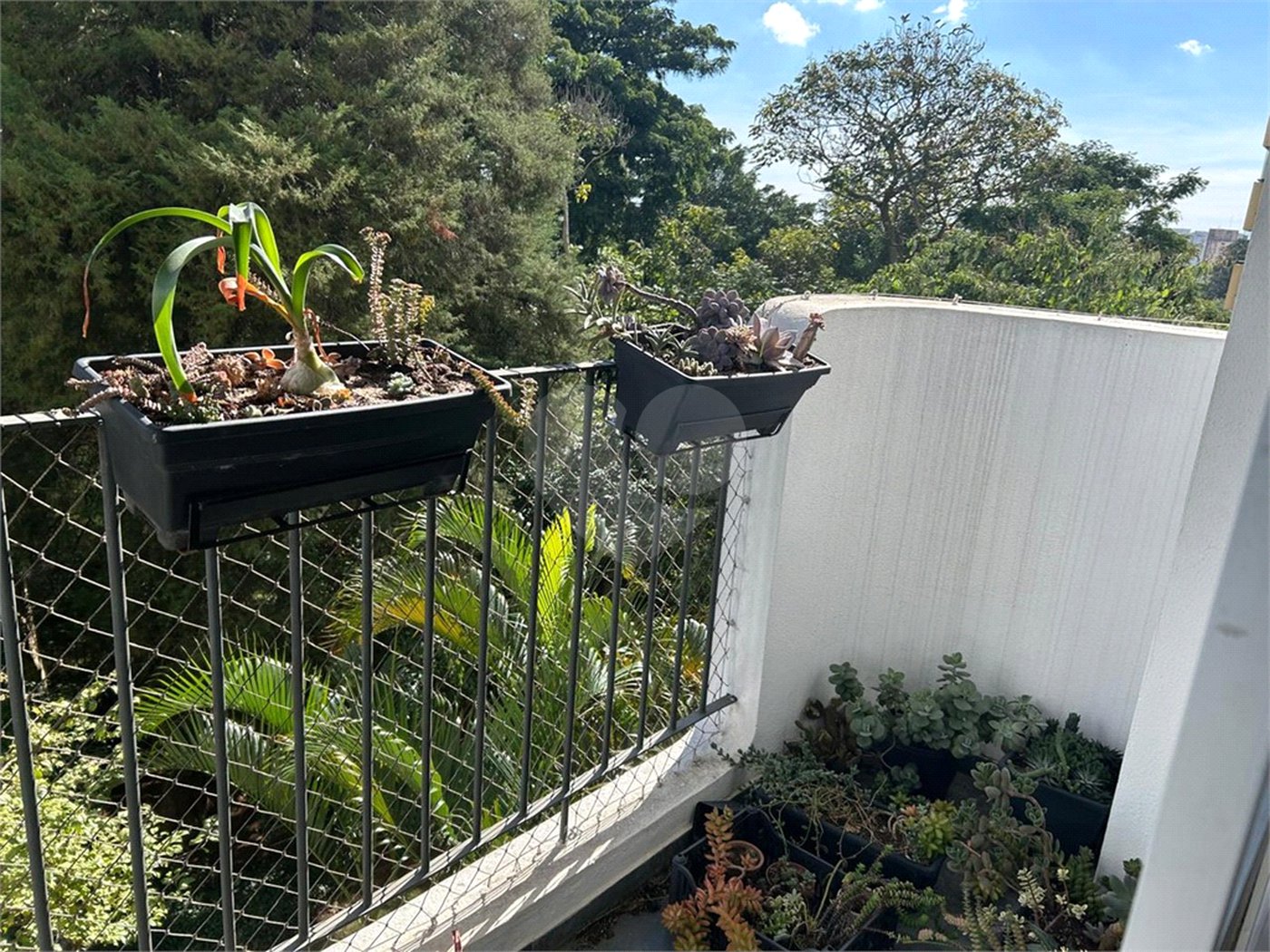 Apartamento à venda com 3 quartos em Vila Suzana, São Paulo, SP