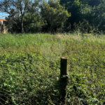 Terreno à venda em Chapadinha, Itapetininga, SP