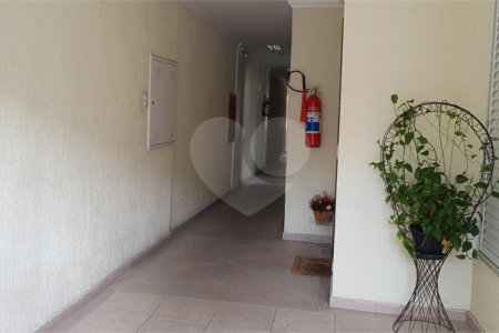 Apartamento à venda com 3 quartos em Cambuci, São Paulo, SP