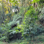 Terreno à venda no condomínio Alpes da Cantareira, Mairiporã - SP