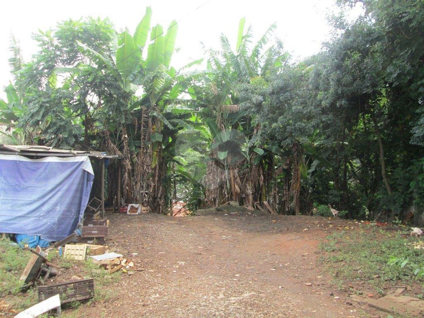 Terreno à venda em Palmas do Tremembé, São Paulo, SP