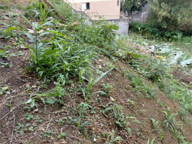 Terreno à venda em Tucuruvi, São Paulo, SP