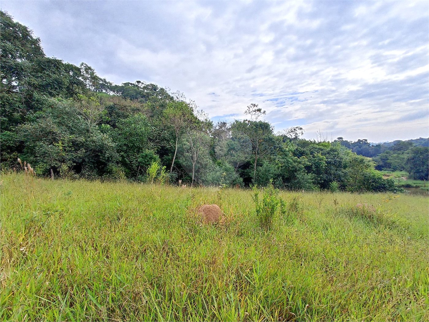 Terreno à venda em Residencial Reserva da Mata, Itapetininga, SP