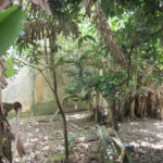 Terreno à venda em Jardim Jussara, São Paulo, SP
