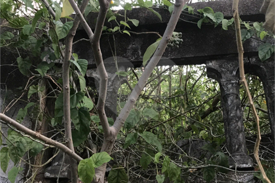 Terreno à venda em Água Fria, São Paulo, SP