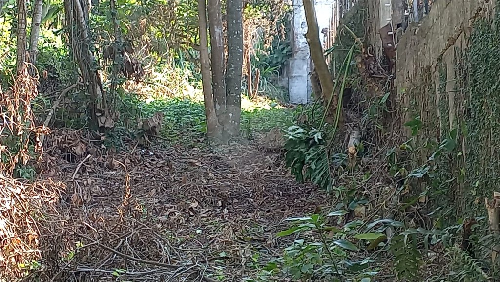 Terreno à venda em Vila Tramontano, São Paulo, SP