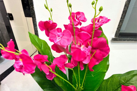 Casa à venda com 1 suíte em Guriri, Cabo Frio, RJ