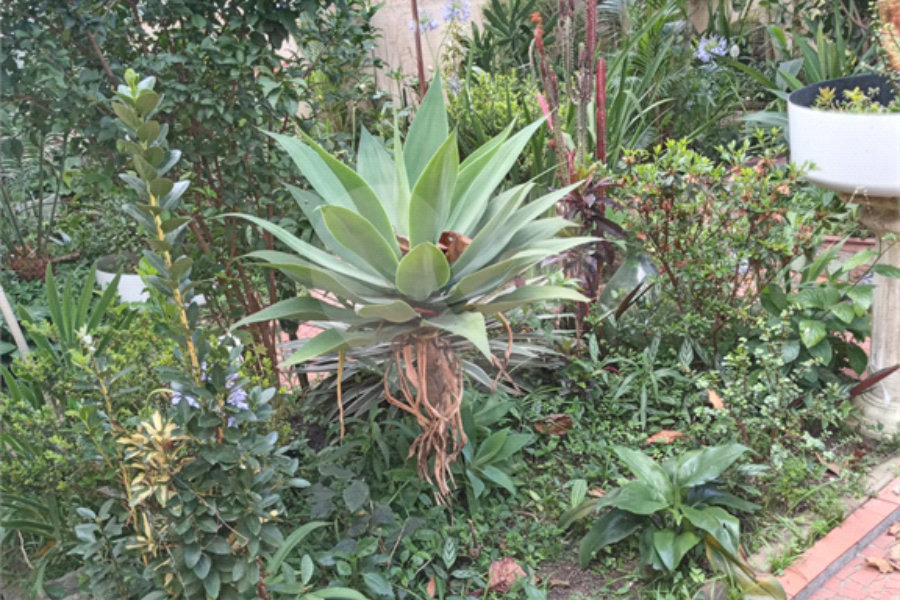 Terreno à venda com 4 quartos em Santana, São Paulo, SP
