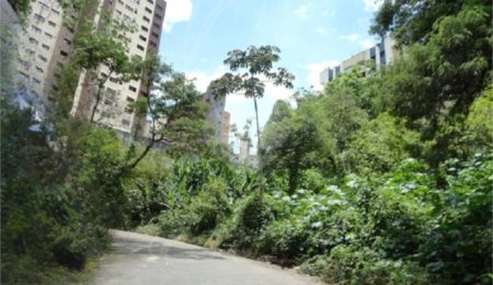 Terreno à venda em Vila Suzana, São Paulo, SP