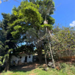 Área de Terra à venda com 1 quarto em Capivari, Louveira, SP
