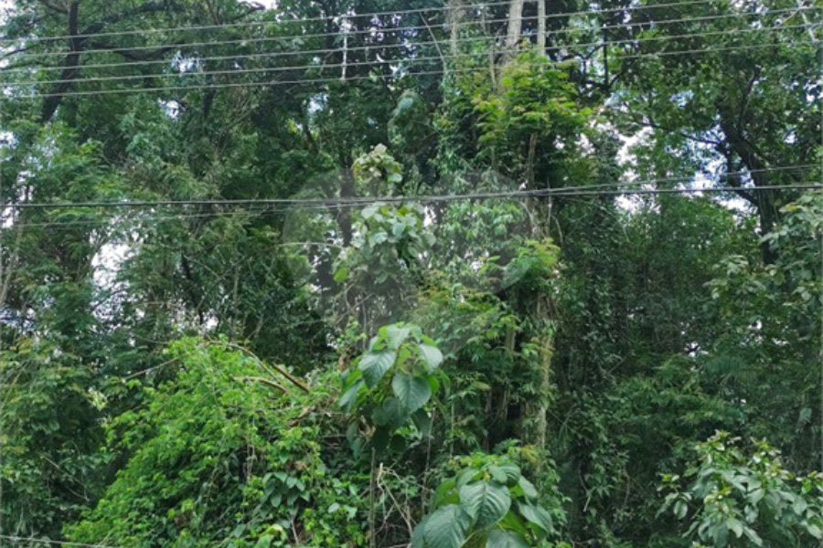 Terreno à venda em Serra da Cantareira, Mairiporã, SP