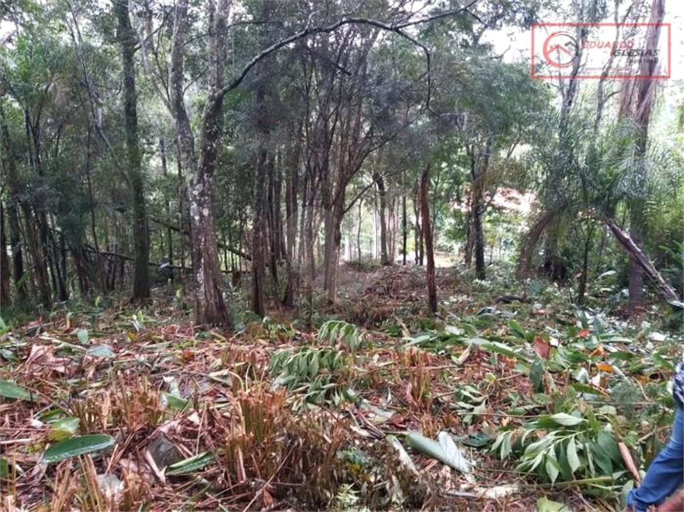 Terreno à venda em Serra da Cantareira, Mairiporã, SP