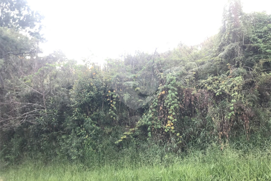Terreno à venda em Serra da Cantareira, Mairiporã, SP