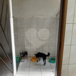 Sobrado à venda com 3 quartos, sendo 1 suíte, em Vila Maria Baixa, São Paulo, SP