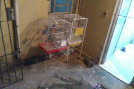 Casa à venda com 5 quartos, sendo 1 suíte,  em Jardim Jaçanã, São Paulo, SP