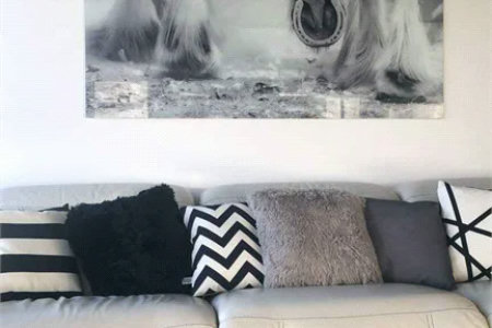 Apartamento à venda com 2 quartos, sendo 1 suíte,  em Vila Leopoldina, São Paulo, SP