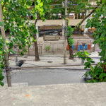Apartamento à venda com 2 quartos em Grajaú, Rio de Janeiro, RJ