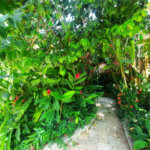 Casa à venda, 600 m² por R$ 4.000.000,00 - Acapulco - Guarujá/SP