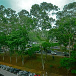 Apartamento à venda com 5 quartos, sendo 2 suítes, em Vila Clementino, São Paulo, SP