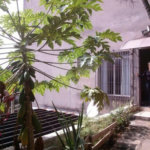 Prédio à venda em Vila Nova Cachoeirinha, São Paulo, SP