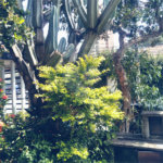 Sobrado à venda com 3 quartos em Jardim São Paulo(zona Norte), São Paulo, SP