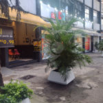 Oportunidade próx. Centro