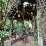 Chácara Espaçosa no Santa Rita com Área Gourmet, Sauna e Árvores Frutíferas