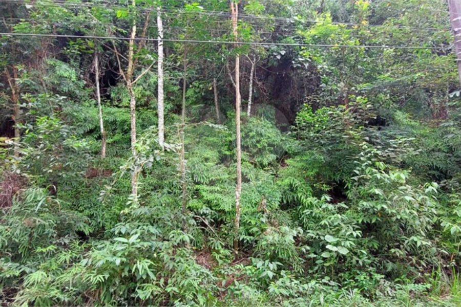 Terreno à venda no condomínio Sausalito, Mairiporã - SP