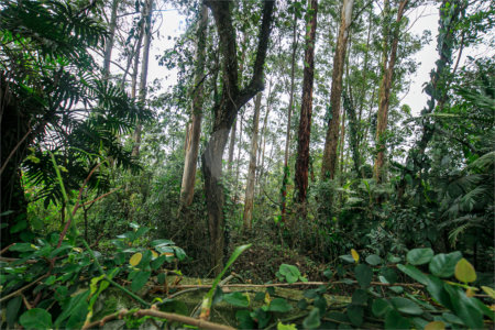 Terreno à venda em Morumbi, São Paulo, SP