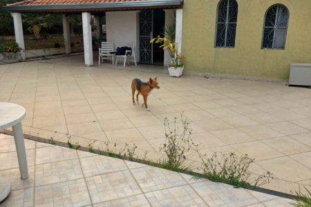 Casa à venda com 3 quartos, sendo 1 suíte, no condomínio Cafezal VI, Itupeva - SP