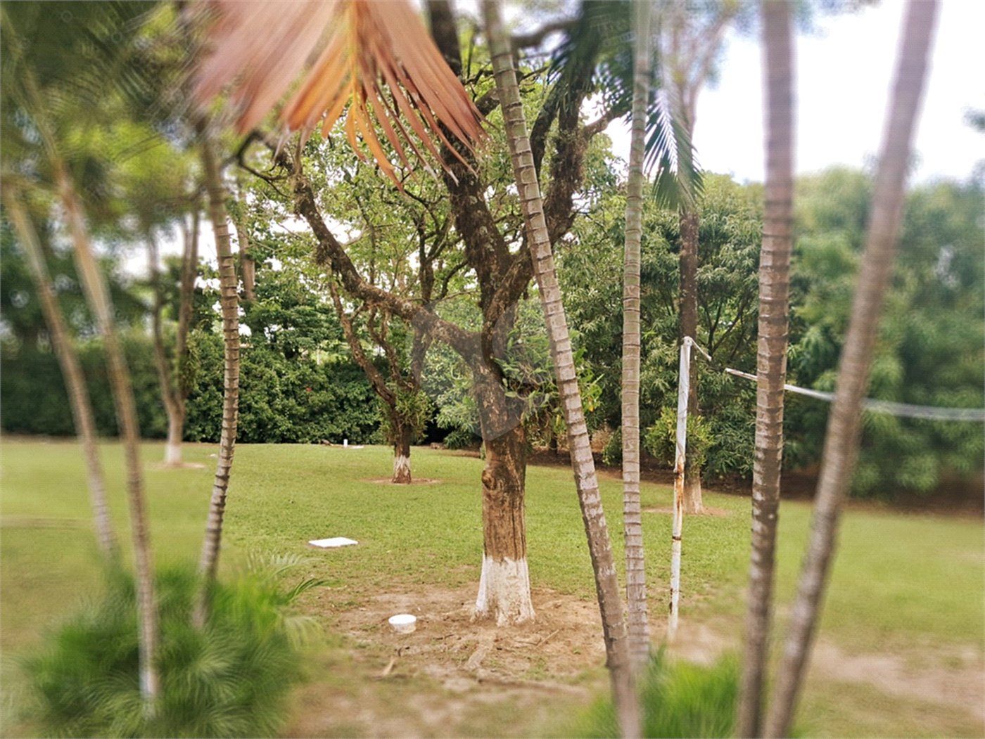 Chácara à venda com 8 quartos, sendo 5 suítes, em Chácara Belvedere, Indaiatuba, SP