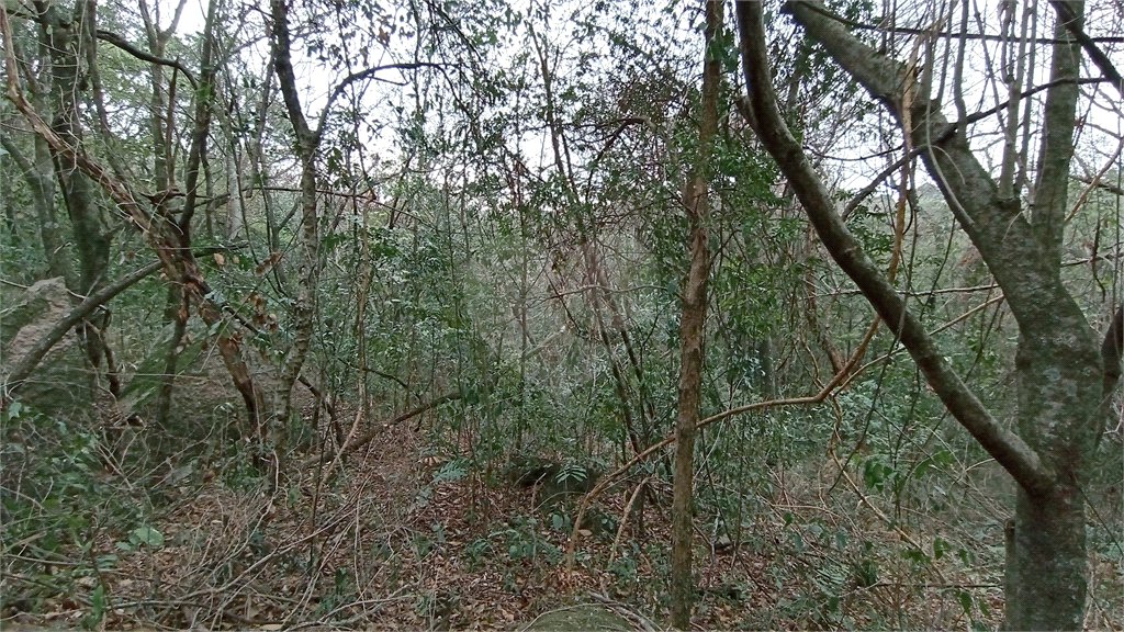Terreno à venda em Chácaras Alpina, Valinhos, SP