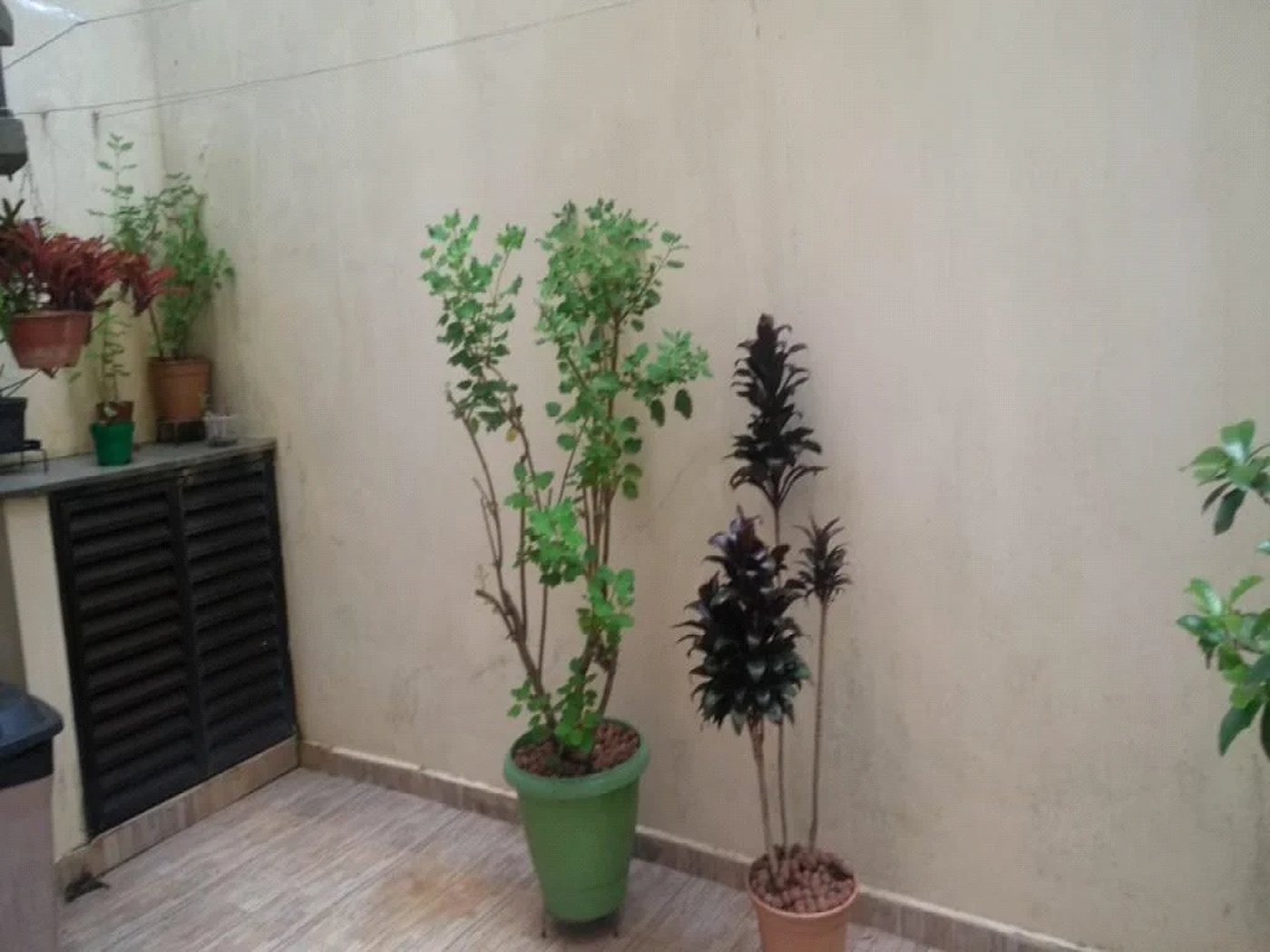 Casa à venda com 3 suítes em Jardim Olympia, São Paulo, SP