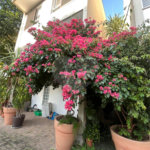 Casa à venda com 3 suítes no condomínio Domus, São Paulo - SP