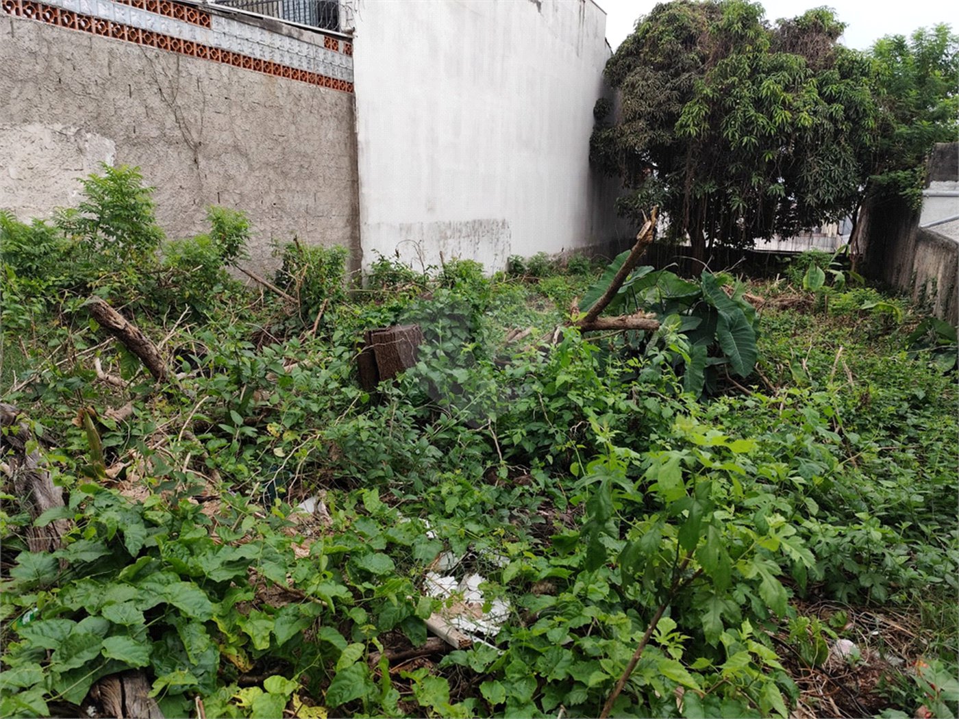 Terreno à venda com 1 suíte em Vila Constança, São Paulo, SP